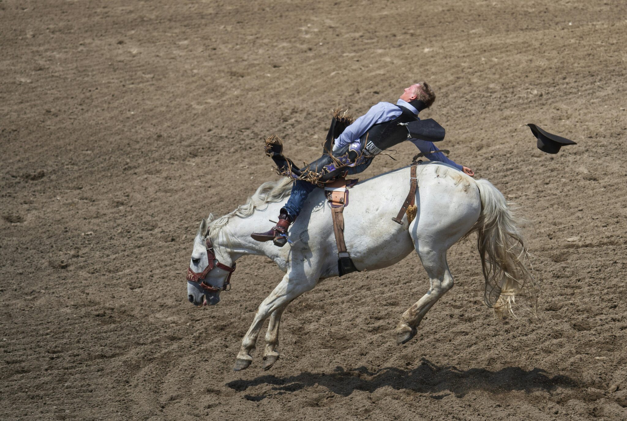 How Canadian Charities Are Challenging Rodeo Traditions