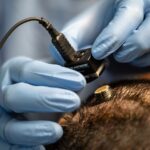 Brain-computer interface implant technology advancing neurological care with support from Canadian charities