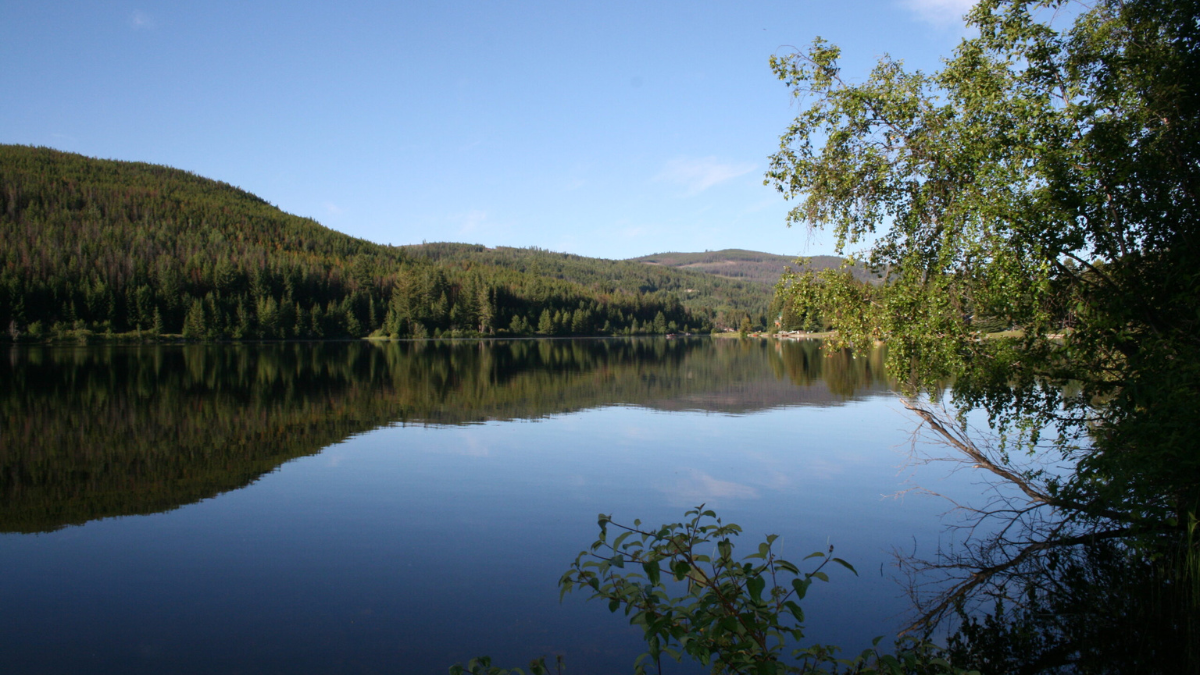 Peaceful lake surrounded by forested hills in British Columbia, offering natural habitat for bird watching in the Vancouver and Lower Mainland region.