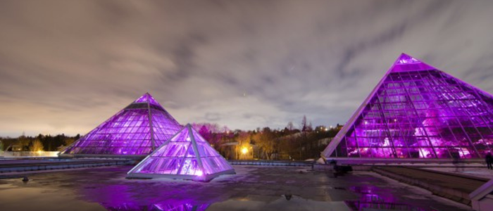 Muttart Conservatory pyramids illuminated purple at night in Edmonton
