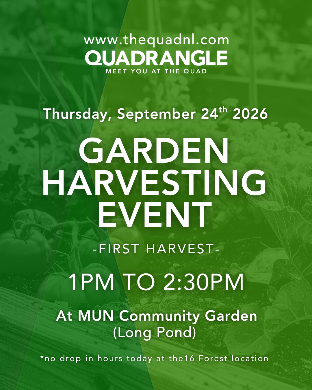 Quadrangle NL Garden Harvesting Event at MUN Community Garden in St. John&rsquo;s celebrating community gardening and local harvest.