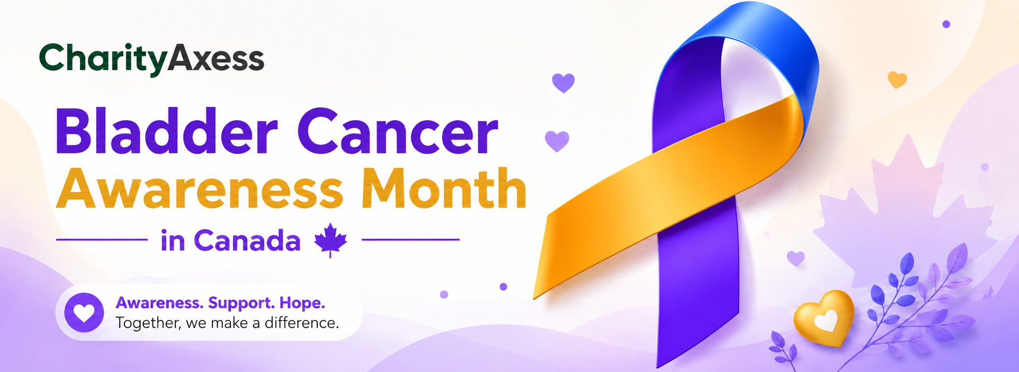 Canada Walks for Bladder Cancer Toronto 2026